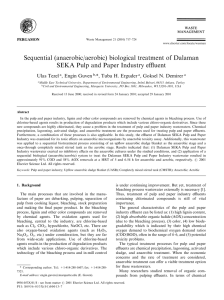 Sequential (anaerobic/aerobic) biological treatment of Dalaman