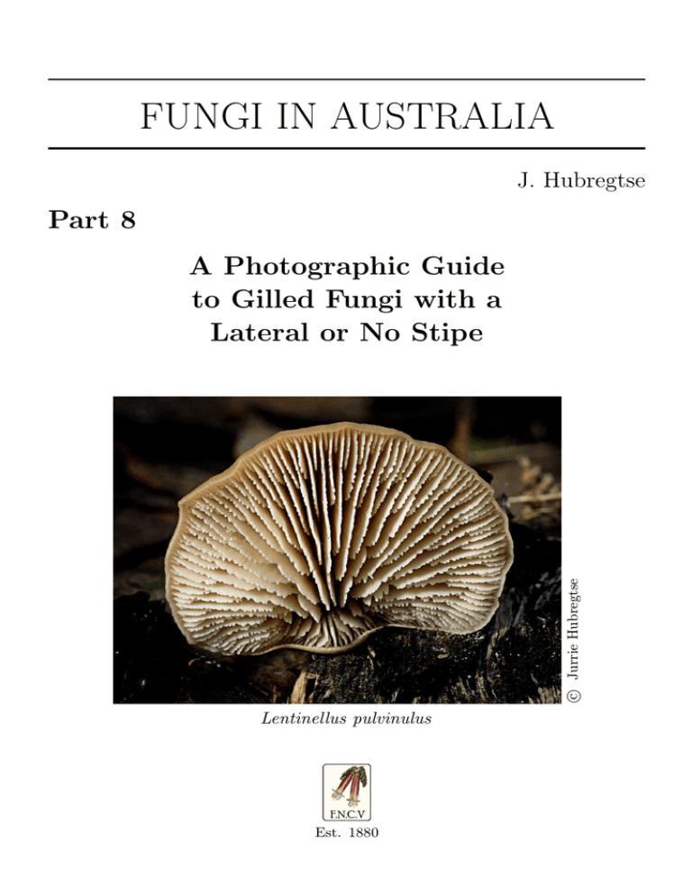 Fungi In Australia Field Naturalists Club Of Victoria