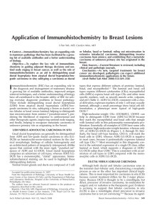 Application of Immunohistochemistry to Breast Lesions