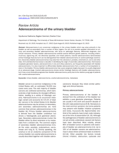 Review Article Adenocarcinoma of the urinary bladder