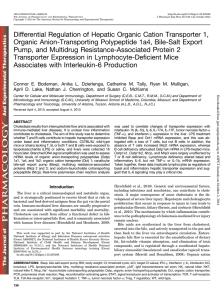 Differential Regulation of Hepatic Organic Cation Transporter 1