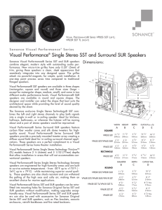 Visual Performance® Single Stereo SST and Surround SUR Speakers