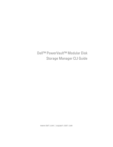 Dell™ PowerVault™ Modular Disk Storage Manager CLI Guide