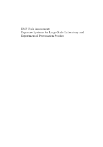 EMF Risk Assessment: Exposure Systems for Large