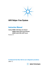 AAV Helper-Free System