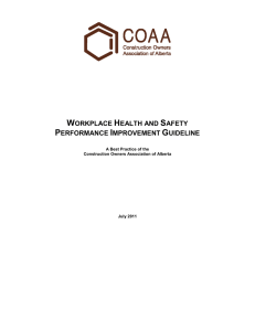 workplace health and safety performance improvement guideline