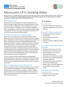 Information Sheet: Microcystin