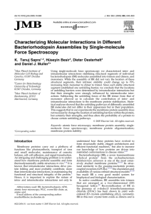 Characterizing Molecular Interactions in Different Bacteriorhodopsin
