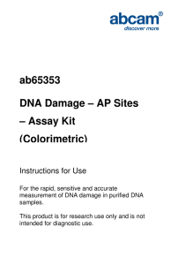 ab65353 DNA Damage – AP Sites – Assay Kit (Colorimetric)
