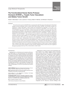 The Functionalized Human Serine Protease Granzyme B/VEGF121