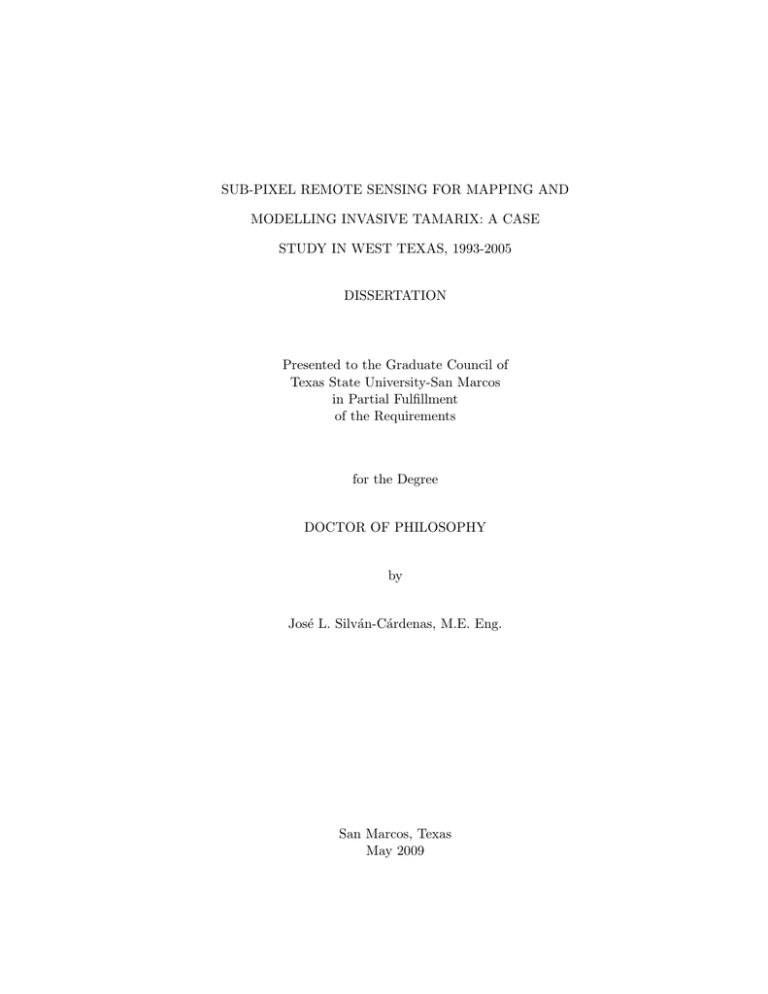 texas state university thesis submission