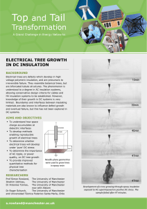 electrical tree growth in dc insulation