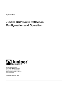 JUNOS BGP Route Reflection Configuration and Operation