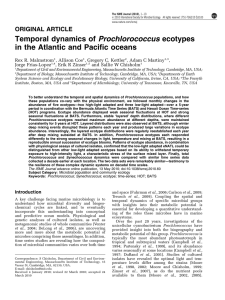 Temporal dynamics of Prochlorococcus ecotypes in the Atlantic and