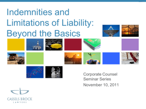 Indemnities and Limitations of Liability: Beyond the