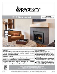 E18 Gas Insert - Regency Fireplace Products