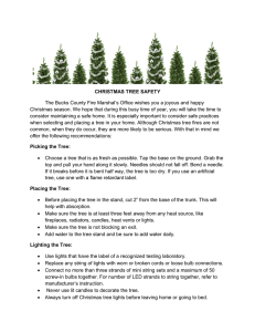 CHRISTMAS TREE SAFETY The Bucks County Fire Marshal`s Office