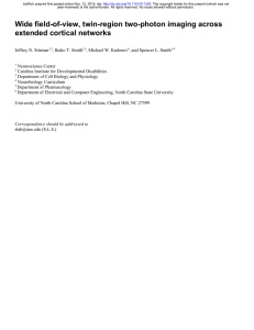 Wide field-of-view, twin-region two-photon imaging across