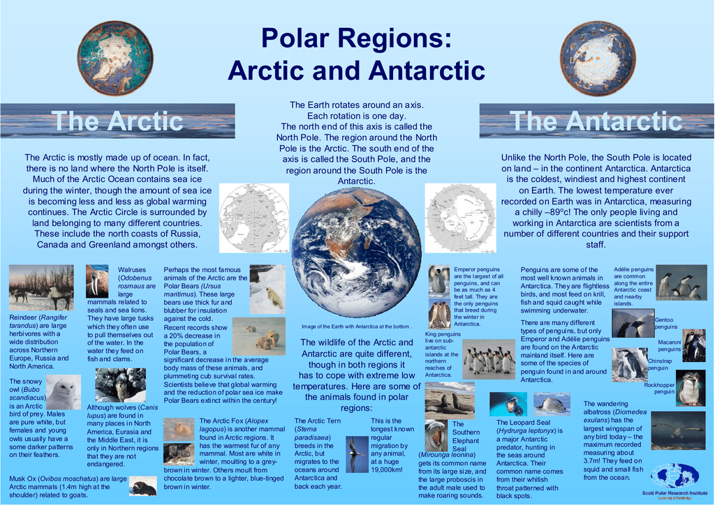 Polar Regions: Arctic and Antarctic The Arctic The Antarctic