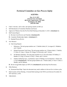 Technical Committee On Gas Process Safety