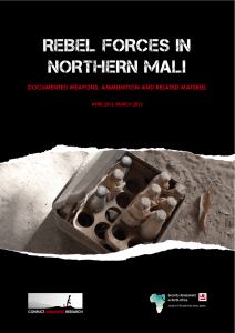 Rebel Forces in Northern Mali