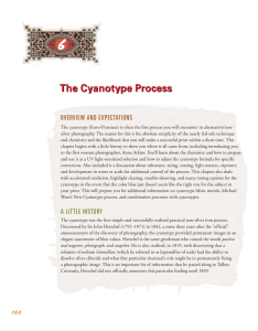 The Cyanotype Process