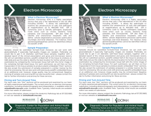 Electron Microscopy Electron Microscopy