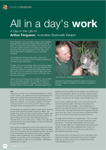 Day in the Life of an Australian Bushwalk Keeper