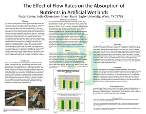The Effect of Flow Rates on the Absorption of