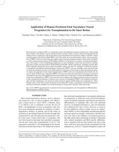 Application of Human Persistent Fetal Vasculature