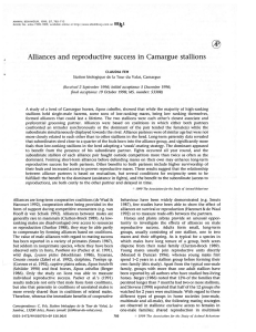 Alliances and reproductive success in Camargue stallions