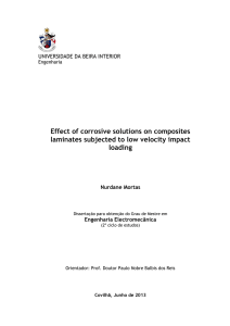 Effect of corrosive solutions on composites laminates