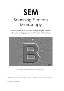 Scanning Electron Microscopy