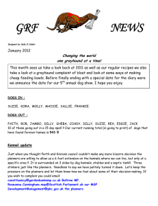 GRF NEWS - Greyhound Rescue Fife