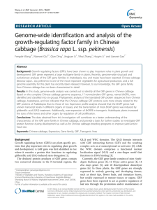 Genome-wide identification and analysis of the growth