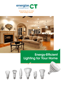 Energy-Efficient Lighting for Your Home Brochure