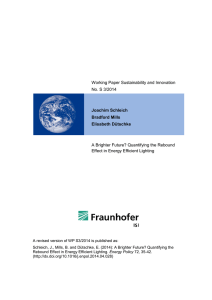 Working Paper Sustainability and Innovation No. S 3