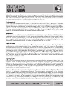 Photosynthesis Spectrums Light particles Lighting cycles