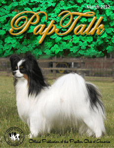 Inside This issue - Papillon Club of America