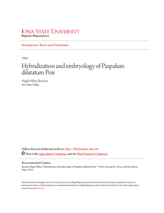 Hybridization and embryology of Paspalum dilatatum Poir