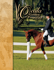 Ocala Properties Flyer