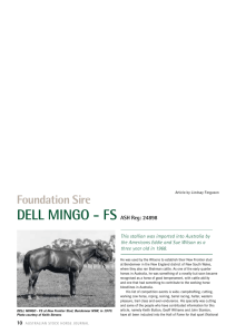 DELL MINGO - FS ASH Reg: 24898