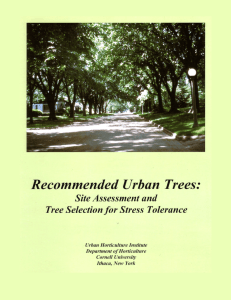 the Recommended Urban Trees PDF - Horticulture Section