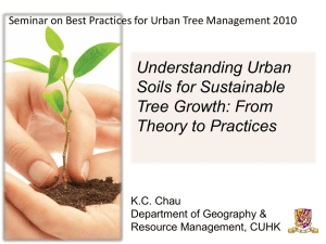 Understanding Urban Soils for Sustainable Tree Growth: From