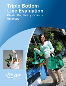 Triple Bottom Line Evaluation, Plastic Bag