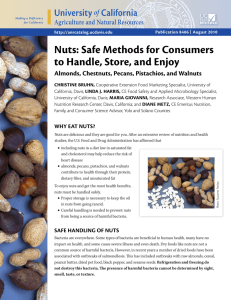 Nuts: Safe Methods For Consumers To Handle