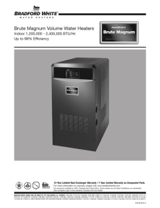 Brute Magnum Volume Water Heaters