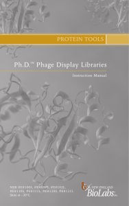 manual Ph.D. Phage Display Libraries E8100, E8101, E8102