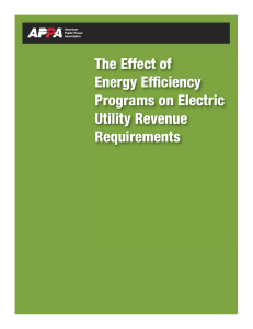 The Effect of Energy Efficiency Programs on Electric Utility Revenue