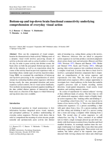 Bottom-up and top-down brain functional connectivity underlying